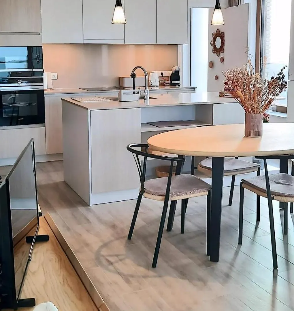 Modern 2-Bedroom Apartment Near The Beach Of Ostend T102 0*,  Belgium